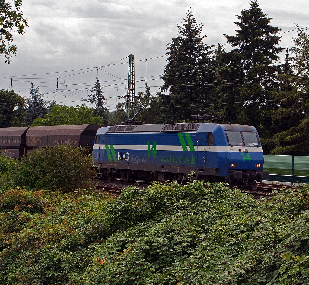 Die neue NIAG Lok 14 (145 086-5) mit leerem Kohle-Ganzzug fährt am 11.08.2011, auf der rechten Rheinstrecke, bei Unkel in Richtung Norden. Die TRAXX F140 AC wurde 2000 bei ADtranz  unter der Fabriknummer  33386  gebaut und MThB - Mittelthurgaubahn AG, Weinfelden als 486 654-7 geliefert, 2002 ging sie an SBB Cargo AG als 481 004-0, ab 2005 ist sie eine Dispo-Lok.