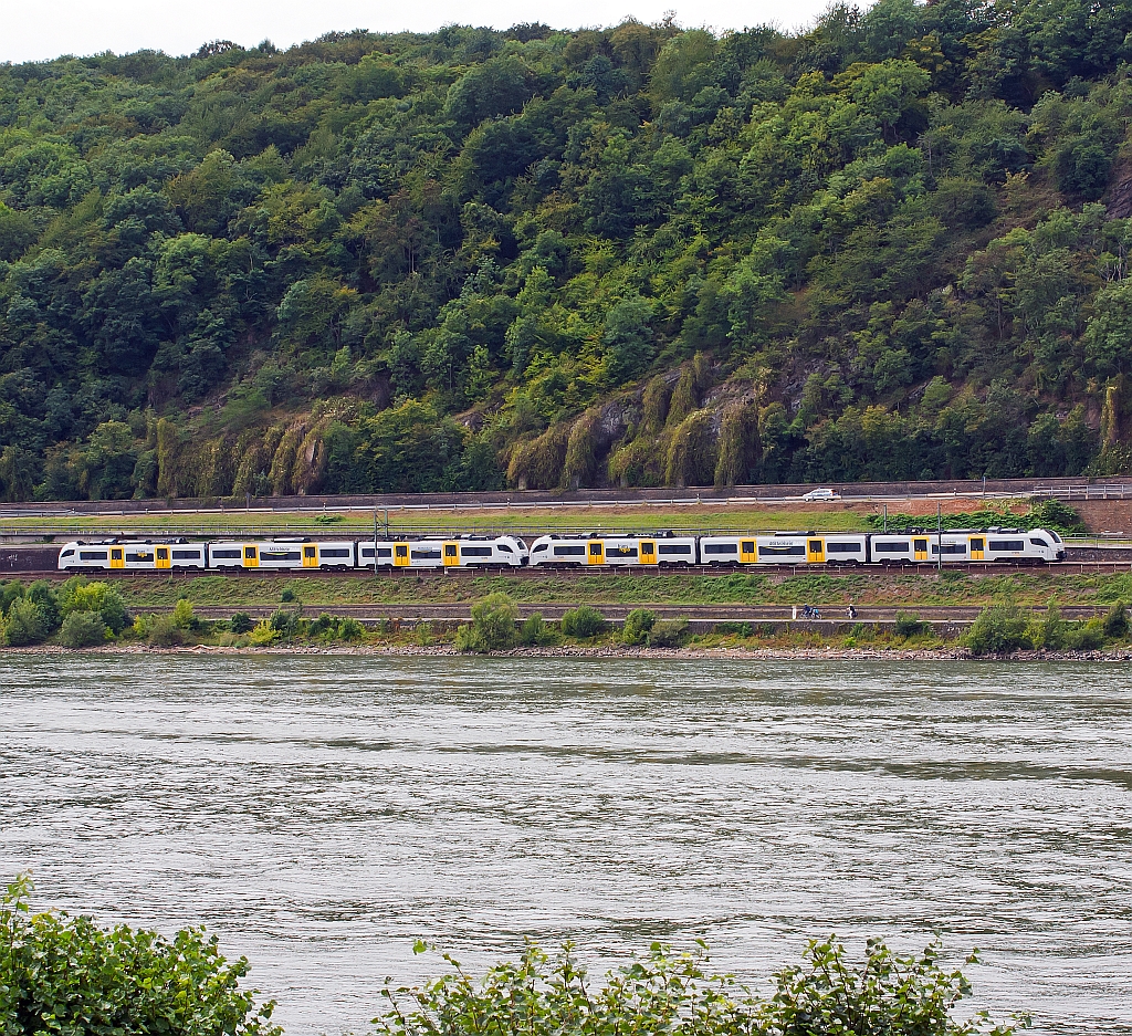Zwei gekuppelte 460 er Triebzge (Siemens Desiro ML II) der trans regio MittelrheinBahn (MRB 26) fahren am 11.08.2011 auf der linken Rheinseite, gegenber von Unkel, abwrts in Richtung Kln.