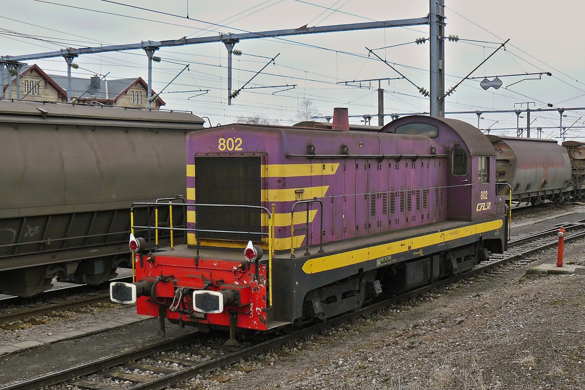 . Aus dem Archiv - Die Dieselok 802 durchfhrt am 24.02.2009 den Bahnhof von Ptange. (Hans)

Die Geschichte der CFL Srie 800: 

Die Baureihe 800 waren eine Serie von sechs Diesellokomotiven der Chemins de Fer Luxembourgeois (CFL).

Drei Maschinen der 1954 von AFB gebauten diesel-elektrischen Lokomotiven wurde in den 2000er Jahren verschrottet, zwei sind nicht betriebsfhig abgestellt, whrend ein Fahrzeug noch 2011 zum Einsatz kam. Neben den Triebwagen der Baureihe Z 200 waren die schweren Rangierlokomotiven die einzigen speziell fr die luxemburgische Staatsbahn konstruierten Fahrzeuge.

Die CFL beabsichtigen zu Beginn der 1950er Jahre, Dampflokomotiven im personalintensiven Rangierbetrieb durch Diesellokomotiven abzulsen. Neben einer Serie mit 400 PS (der spteren Baureihe 450) sollten auch sechs Lokomotiven mit 750 PS beschafft werden. Neben dem schweren Rangierdienst gehrte auch das Nachschieben zum Lastenheft. 1953 wurden die sechs Fahrzeuge bei AFB bestellt, der Gesamtpreis sollte 40 Millionen Franken betragen. Vorbild der Konstruktion fr die CFL war die SW8 von General Motors.

1954 wurden die Fahrzeuge geliefert und kamen seitdem ausschlielich im Gterverkehr zum Einsatz.

2004 wurden zwei Fahrzeuge ausgemustert, 2005 ein weiteres. Von den drei verbliebenen Lokomotiven wurden zwei 2010 ausgemustert, whrend die CFL 802 auch 2011 noch zu Aushilfseinstzen kam. Drei der ausgemusterten Rangierlokomotiven wurden mittlerweile verschrottet, die CFL 804 soll als Museumsfahrzeug erhalten bleiben, die CFL 806 wurde 2010 nach Belgien verkauft.

Die technischen Date der CFL Srie 800:

Nummerierung: 801–806 
Anzahl: 6 
Hersteller: AFB 
Baujahr: 1954 
Ausmusterung: ab 2004 
Achsformel: Bo'Bo' 
Spurweite: 1435 mm (Normalspur) 
Lnge ber Puffer: 13.795 mm 
Hhe: 4.120 mm 
Drehzapfenabstand: 6.700 mm 
Kleinster bef. Halbmesser: 70 m 
Dienstmasse: 74 t 
Radsatzfahrmasse: 18,5 t 
Hchstgeschwindigkeit: 80 km/h 
Installierte Leistung: 875 PS (643,56 kW) 
Treibraddurchmesser: 1.050 mm 
Tankinhalt: 3.300 l
