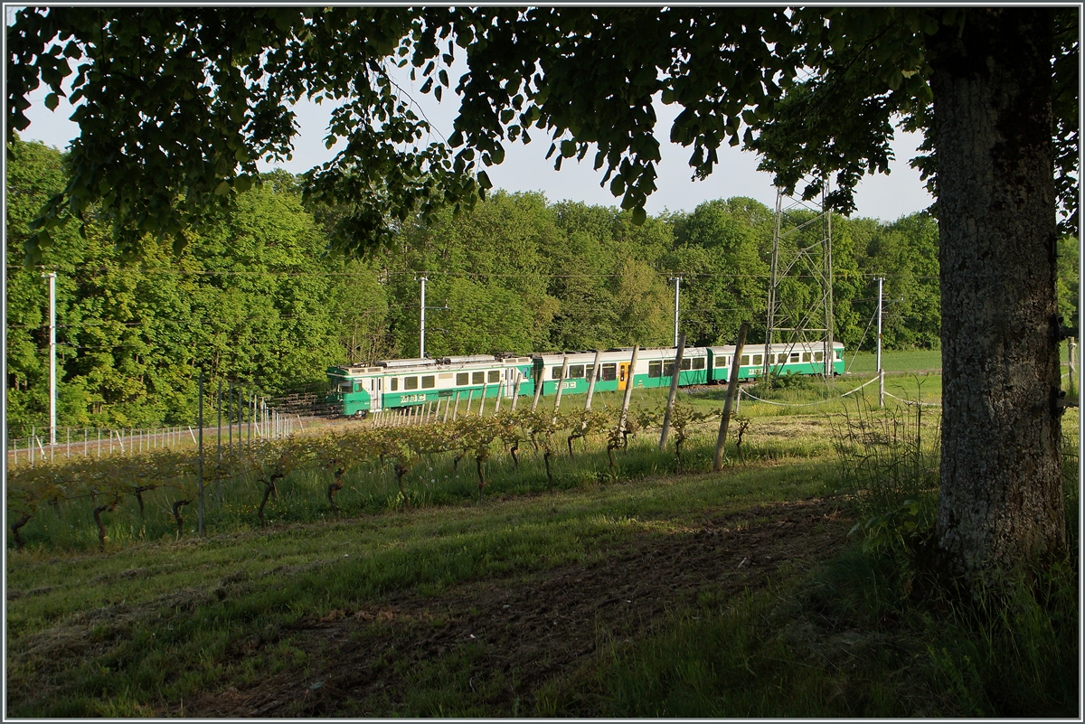 Der BAM Regionalzug 108 auf der Fahrt nach Bire zwischen Chigny und Vufflens-le-Chteau.
12.Mai 2015