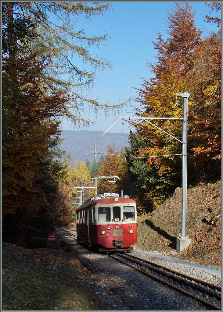 Der CEV BDeh 2/4 N° 73 kommt als Regionalzug 1379 aus dem Bois de Chexbres...
(27. Okt. 2015)