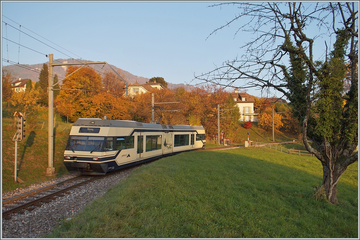 Der CEV MVR GTW Be 2/6 7004  Montreux  ist als Regionalzug auf dem Weg nach Blonay und hat gerade die Station St-Lgier Gare verlassen. 

Im Hintergrund der Les Pleiades, auf dessen Gipfel zwar die Strecke der CEV fhrt, der CEV MVR GTW aber aufgrund des fehlenden Zahnradantriebes nicht fahren kann, so dass den vier GTW-Triebwagen nur die Adhsion Strecke der CEV Vevey -Blonay (- Chamby) als Einsatzgebiet bleibt. Dazu kommen noch Einstze im Vorortverkehr ab Montreux bis Les Avants.

Da die Zahnradtriebwagen bereits ein fortgeschrittenes Alter erreicht haben. drfte dies wohl der Grund gewesen sein, die CEV Flotte mit ABeh 2/6 Triebzgen zu vereinheitlichen und die noch fast neuen CEV Be 2/6 weiterzugeben, wobei der hier zu sehende Be 2/6 7004  Montreux  zur MIB bzw. in der Folge zur Zentralbahn bzw. SBB kommen sollte.

2. Nov. 2015