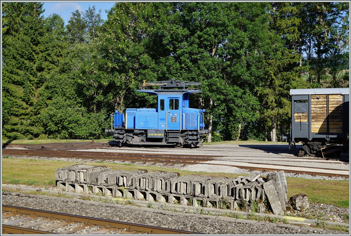 Der CTVJ (Compagnie du Train a vapeur de la Vallée de Joux) Tem II 288 (94 85 1221 288-4) sonnt sich in Le Pont.

21. Juli 2022