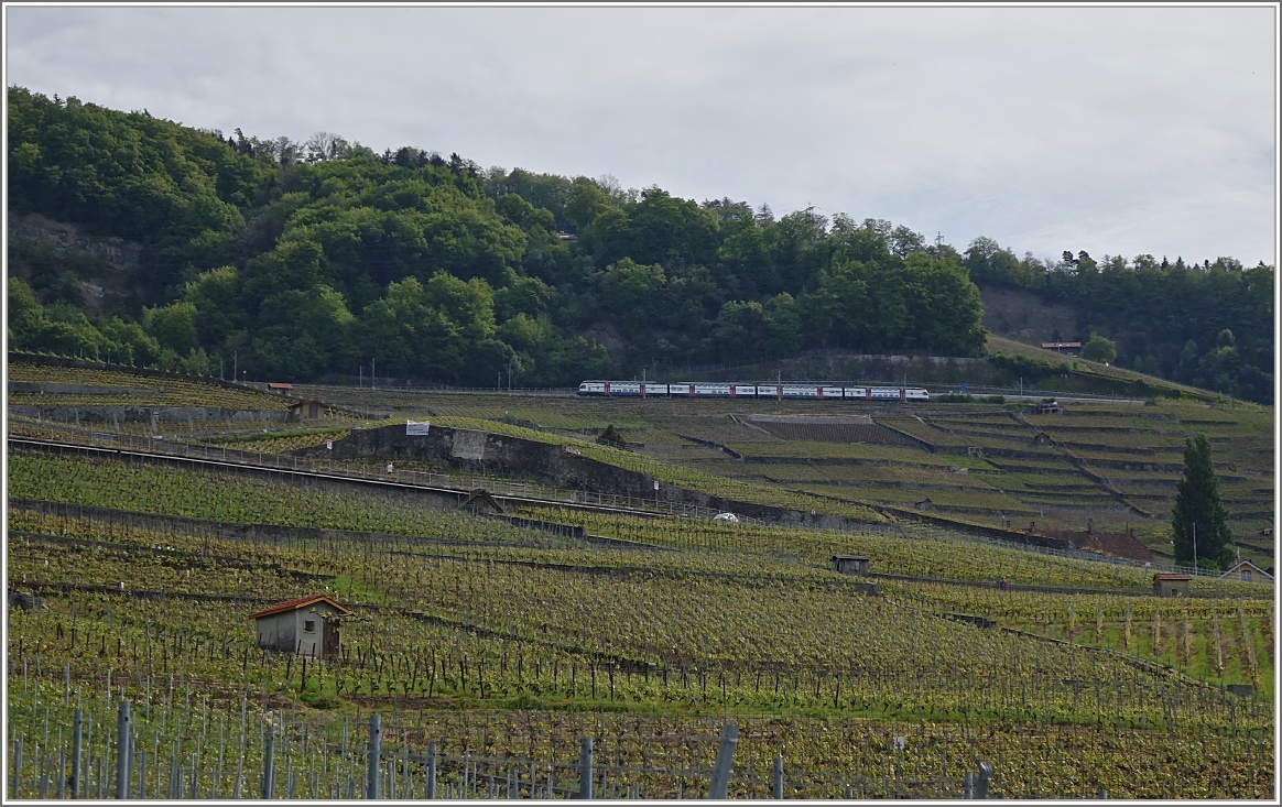 Der Regionlexpress 2618 erreicht bald Lausanne.
(08.05.2014)
