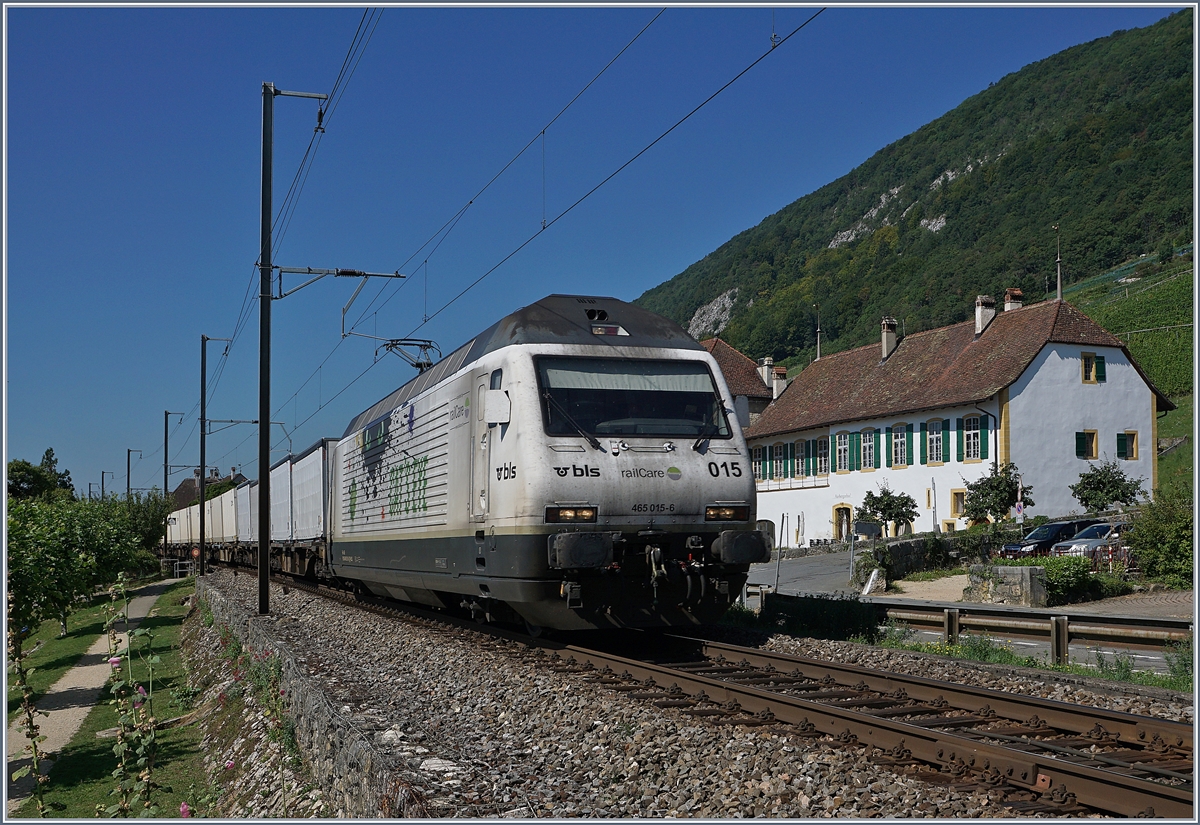 Die BLS Re 465 015-6 mit einem railcare Güterzug kurz nach Ligerz.
18. August 2017