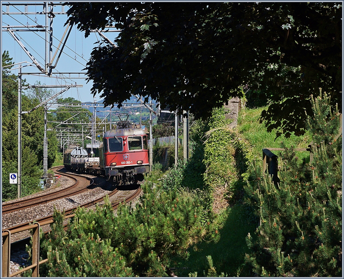Die SBB Re 6/6 11685 (Re 620 085-1)  Sulgen  schlängelt sich mit ihrem Güterzug auf der Fahrt in Richtung Wallis hinter dem Château de Chillon durch. 

20. Mai 2020