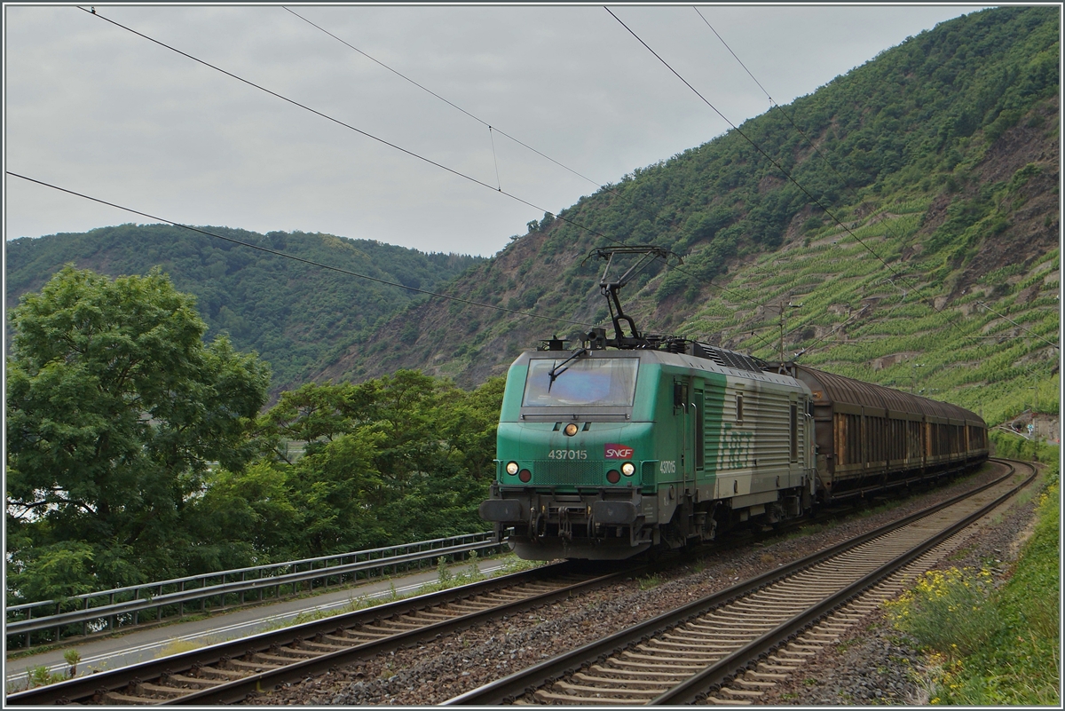 Die SNCF BB 37 015 mit einem langen Güterzug zwischen Kobern Gondorf und Winningen.
20. Juni 2014
