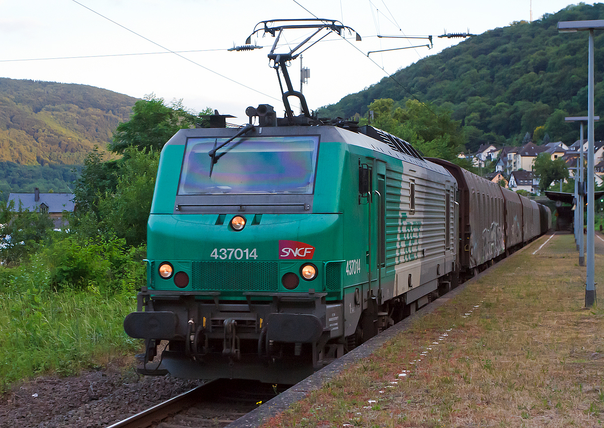 
Die SNCF FRET 437014 fhrt am 20.06.2014 mit einem Gterzug, auf der Moselstrecke (KBS 690), durch Kattenes in Richtung Koblenz. 


Die Mehrsystemlok Alstom Prima EL3U/4 wurde 2004 unter der Fabriknummer FRET T 014 von Alstom gebaut und an die Fret SNCF geliefert. Sie hat die NVR-Nummer 91 87 0037 014-4 F-SNCF.
