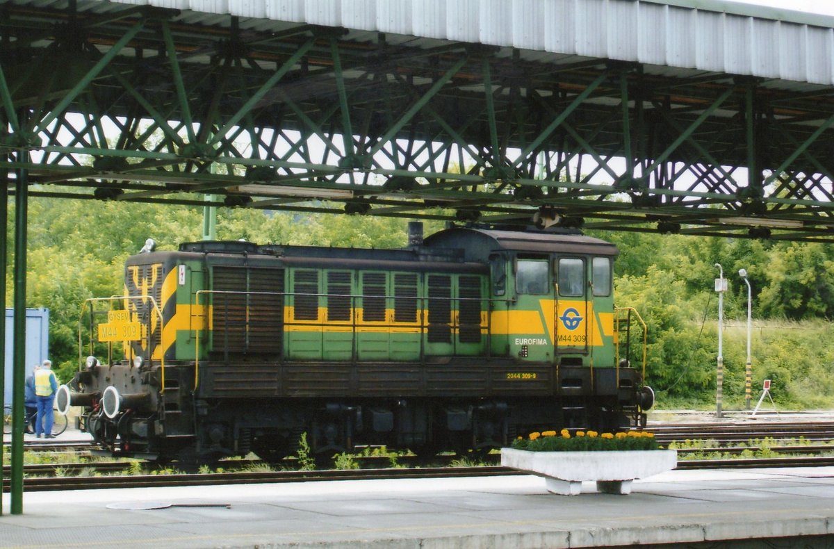 M44 309 rüht sich am 22 mai 2008 in Sopron. Mann beobachte die Blümen (bein Lokkabine) die die GySEV-Farben von Lok kopiiert haben.