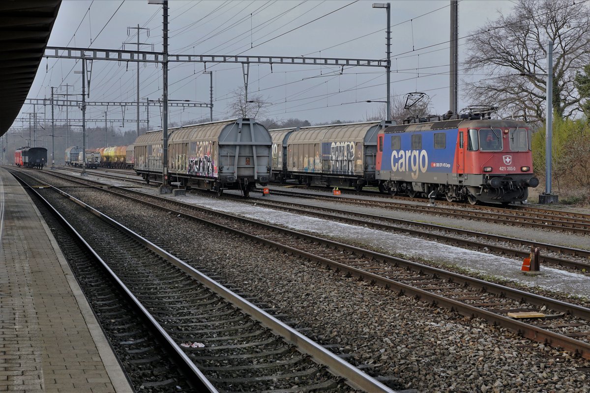 SBB CARGO 421 393-0 in Möhlin am 24. Januar 2019. Im Hintergrund erkennbar ist die SALINE RIBOURG.
Foto: Walter Ruetsch 