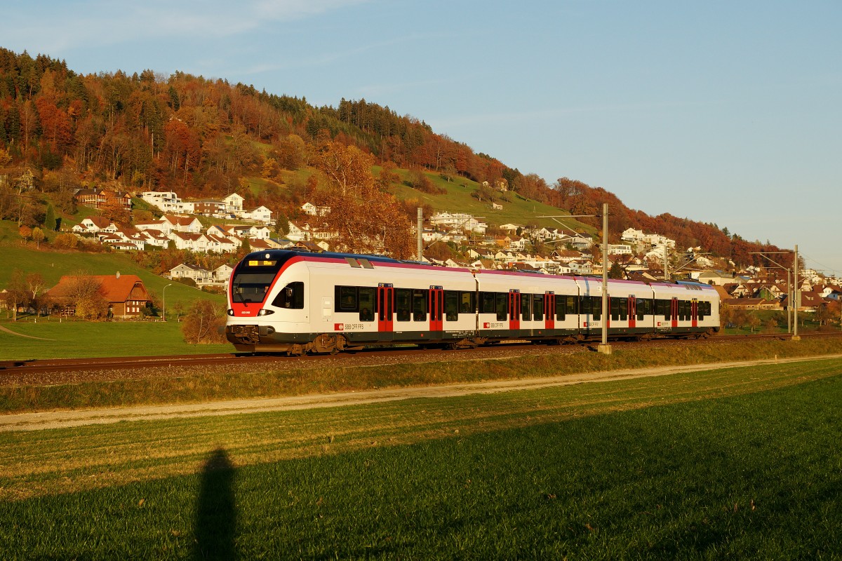 SBB: RE nach Olten im herbstlichen Abendlicht mit einem Triebzug 523 FLIRT von Stadler Rail bei Egolzwil am 8. November 2015.
Foto: Walter Ruetsch