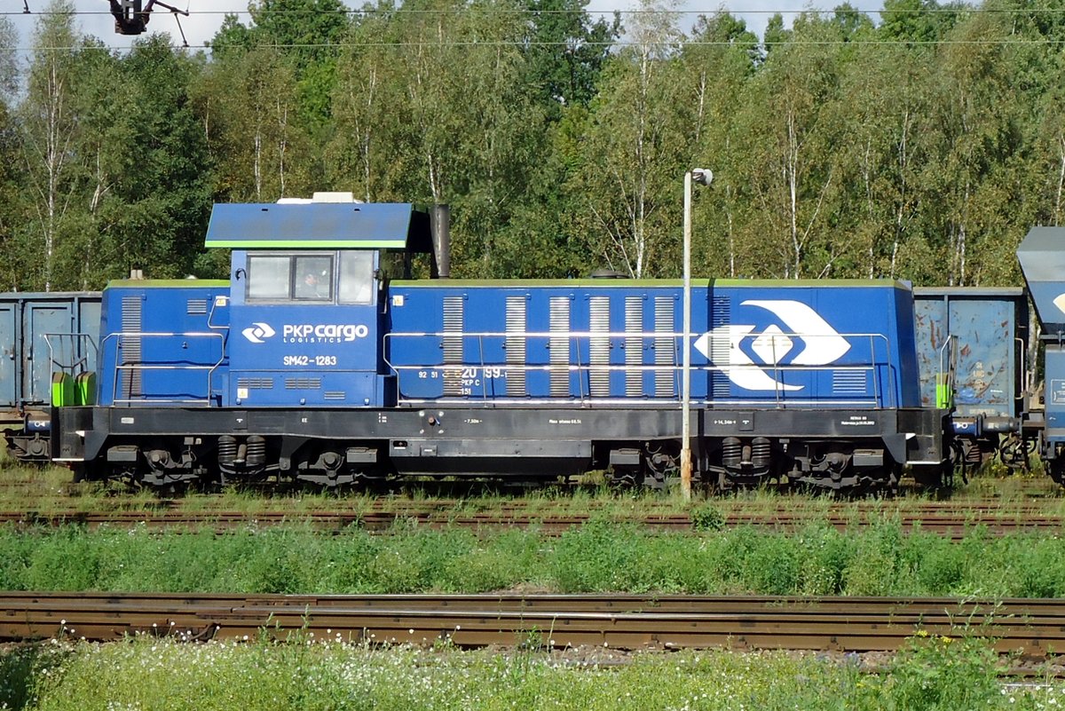 Seitenblick auf SM42-1283 in Wegliniec am 23 September 2014.