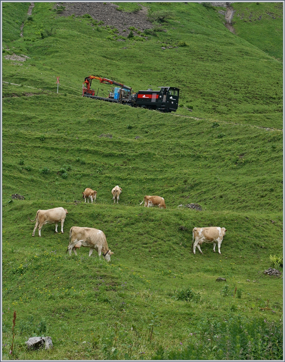 Von unserem vorausfahrenden Zug konnte ich gut Bilder des nach folgenden talwärts fahrenden  Versorgunszuges  machen.
Hier bei Oberstaffel, zwischen Rindvichern und unsinnigen Andraskreuzen. 
8. Juli 2016