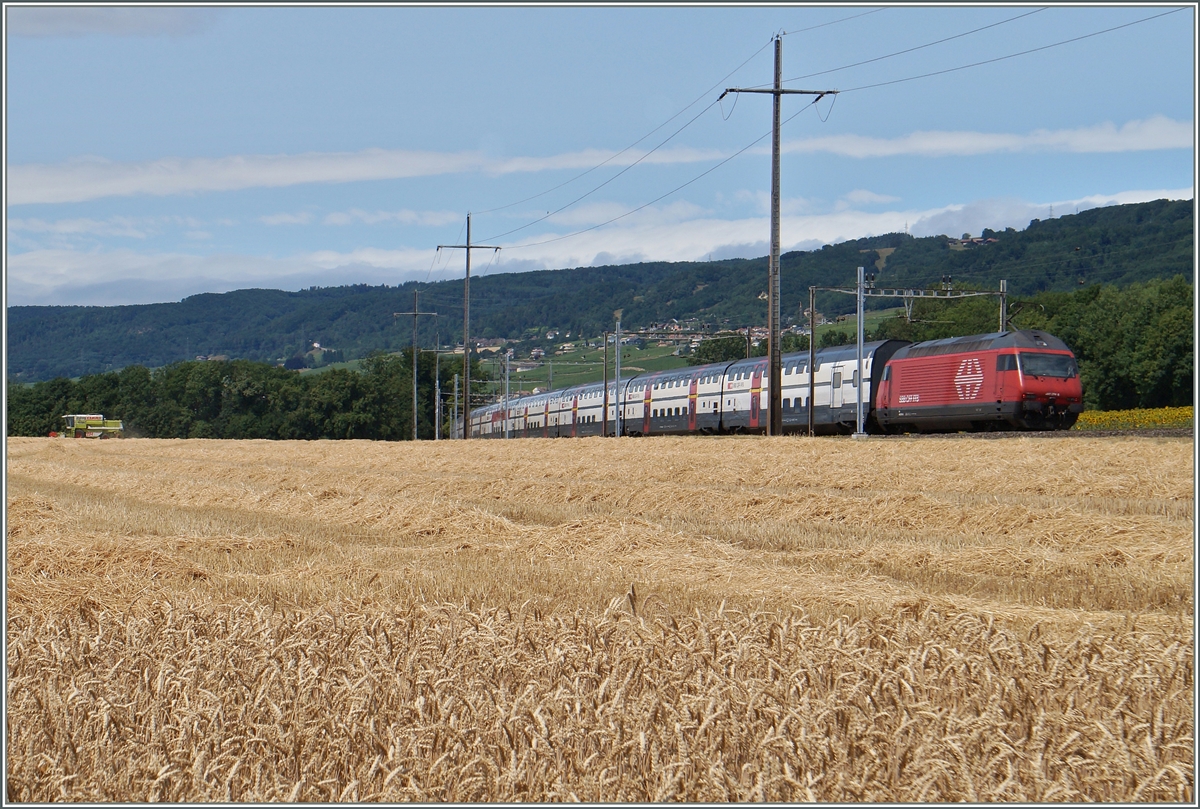 Während eine Re 460 ihren IC 712 Richtung Genève schiebt, ist ganz links im Bild ein Mähdrescher mit Erntearbeiten beschäftigt. 
Zwisachen Allaman und Perroy, den 8. Juli 2015