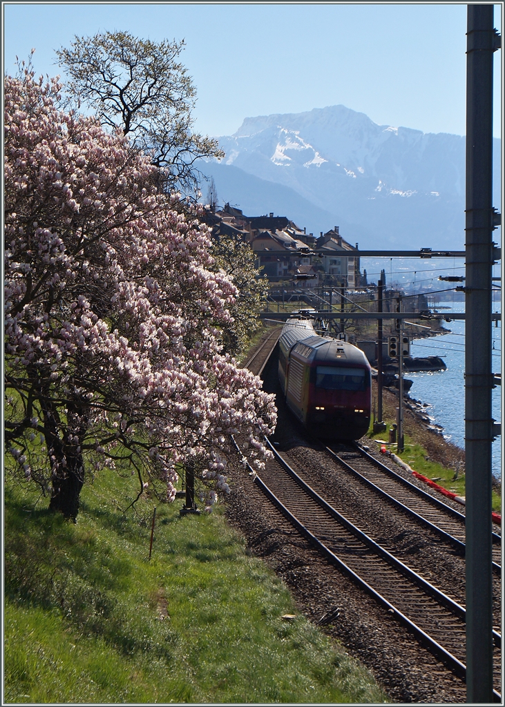 Zarte Frühlingsfarben im Lauvaux.
6. April 2015