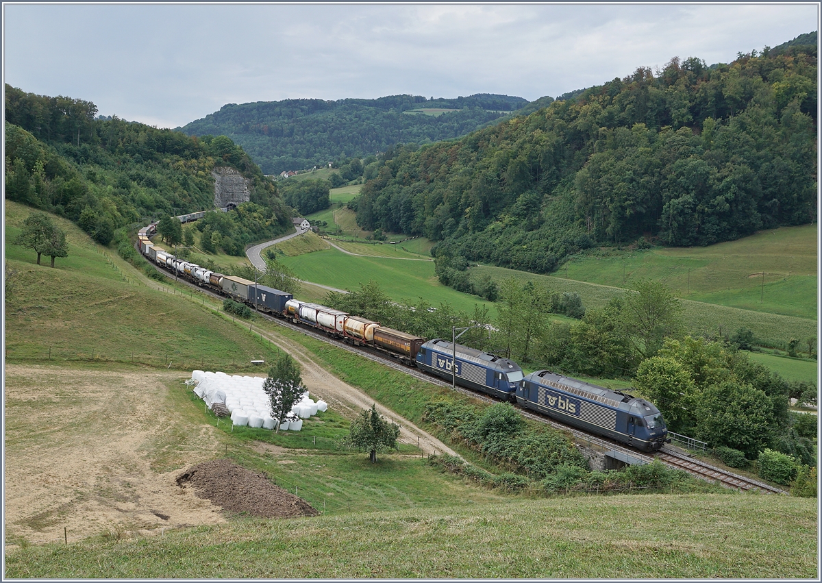 Zwei BLS Re 465 befördern einen langen Güterzug über die Alte Hauensteinlinie (Sommerfahrplan 2018). Das Bild entstand zwischen Läufelfingen und Buckten am 7. August 2018. 