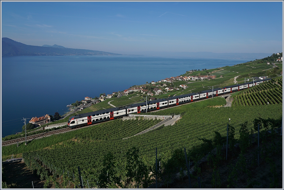 Zwei SBB RABe 511 im Sommerfahrplanverkehr (Genève- Fribourg via Vevey) auf der Train des Vignes Linie bei Chexbres. 

27. Juli 2018