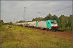 Für das polnische Unternehmen Transchem ist E 186 135 im Einsatz.