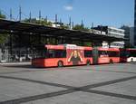 Hagen Westf.,Bus der Hagener Strassenbahn AG,aufgenommen 22.7.17