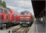 br-218-v-164-2/666855/die-db-218-435-6-ist-mit Die DB 218 435-6 ist mit ihrem 'Südbahn' RE in Lindau eingetroffen.

24. Sept. 2019