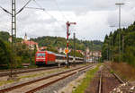 BR 101/575261/ein-kurzer-ausflug-an-die-gaeubahndie 
Ein kurzer Ausflug an die Gäubahn....
Die 101 060-2 (91 80 6101 060-2 D-DB) der DB Fernverkehr AG fährt am 09.09.2017, mit dem IC 185 (Stuttgart Hbf – Singen – Schaffhausen – Zürich HB), von Horb weiter in Richtung Singen. 

Der IC befährt hier die Gäubahn (Bahnstrecke Stuttgart–Hattingen / KBS 740), diese ist die im südlichen Baden-Württemberg verlaufende 148,5 Kilometer lange Eisenbahnstrecke von Stuttgart in Richtung Bodensee. Sie geht in Hattingen (Baden) in die Badische Schwarzwaldbahn über. Die Strecke wurde in den Jahren 1866 bis 1879 von den Königlich Württembergischen Staats-Eisenbahnen erbaut. Jedoch erhielt die Strecke erst zur Zeit der Deutschen Reichsbahn durch den Bau der Verbindungskurve zwischen Tuttlingen und Hattingen (Baden) 1934 ihren gegenwärtigen Verlauf. Heute verkehren auf der teilweise eingleisigen, aber vollständig elektrifizierten Hauptbahn Intercity-Züge von Stuttgart nach Zürich. Darüber hinaus gibt es auf der Gäubahn ein vielfältiges Nahverkehrsangebot unterschiedlicher Eisenbahnverkehrsunternehmen. Die Gäubahn ist überdies eine bedeutende Strecke im Nord-Süd-Güterverkehr.

Die Strecke ist Teil des TEN-Gesamtnetzes, das bis Ende 2050 ausgebaut werden soll.