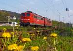 Nur zwei abgestellte E-Loks am 04.05.2013 in Kreuztal....