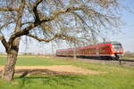 br-440-alstom-coradia-continental/768749/440-036-2-der-fugger-express-in-neu-ulm 440 036-2, der Fugger-Express in Neu-Ulm Pfuhl am 21.04.2010.