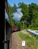 Formsignale/833871/unterwegs-mit-dem-8222molli8220-die-99 Unterwegs mit dem „Molli“, die 99 2322-8 der Mecklenburgischen Bäderbahn Molli zieht den „Molli“ (MBB Dampfzug) am 15 Mai 2022 von Kühlungsborn West via Heiligendamm nach Bad Doberan, das Einfahrtsignal Heiligendamm zeigt nun Hp 1 „Fahrt “, so kann die Lok wieder dampf geben und mit dem unserm Zug losfahren.