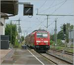baden-wurttemberg/786285/die-db-245-006-uic-92 Die DB 245 006 (UIC 92 80 1245 006-2 D-DB) erreicht mit ihrem IRE3 von Friedrichshafen Hafen nach Basel Bad Bf. den Bahnhof Erzingen (Baden). Eindrücklich der Wärmeausstoss, der die Fahrleitung 'flimmern' lässt, eine Fahrleitung, die im Planbetrieb nicht genutzt wird, da die elektrisch fahrenden SBB /THURBO GTW RABe 526 das Gleis 3 nutzen. Aber vielleicht wird die Strecken ja eines Tages Richtung Westen ausgebaut...

6. September 2022 