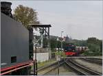 Mecklenburgische Baderbahn Molli/595950/die-molli-99-2321-0-erreicht-mit Die MOLLI 99 2321-0 erreicht mit ihrem Zug die Endstation Kühlungsborn West.
28. Sept. 2017