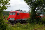 Ein etwas anderer Blick auf die 156 002-8 (91 80 6156 002-8 D-FWK) der FWK - Fahrzeugwerk Karsdorf GmbH & Co.