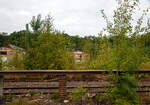 Ein etwas anderes Bahnbild....
Ein Stück der alten Laderampe beim ehem. Güterbahnhof Betzdorf/Sieg (hier am 20.09.2021). 