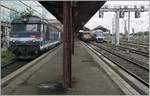 bb-67000-bb-67400/662676/in-strasbourg-warten-altgediente-und-von In Strasbourg warten altgediente und von der Ausmusterung bedrohte Loks mit ihren TER auf die Abfahrt: Im Vordergrund die SNCF BB 67591 mit ihrem TER 8301716 nach Lauterbourg und im Hintergrund die SNCF BB 25664.

28. Mai 2019