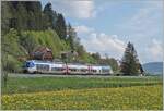Der SNCF Dieseltriebwagen X 76713/714 ist als TER 18109 auf der Fahrt von Besançon Viotte nach La Chaux-de-Fonds und strebt kurz nach dem kleinen Weiler Pont de la Roche Morteau entgegen. 

10. Mai 2022