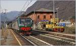 fmn-heute-trenord/667329/die-trenord-e-464-255-mit Die Trenord E 464 255 mit ihrem Regionalzug nach Domodossola beim Halt in Premosello Chiavenda.

29. Nov. 2018