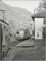 vigezzina-centovallibahn-ssif-und-fart/866378/wie-in-alten-zeitenverigo-den-31102024 Wie in alten Zeiten...
Verigo, den 31.10.2024