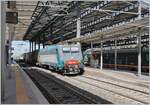 Kurz vor der Ankunft unseres Zuges fährt dann die FS Trenitalia MERCITALIA RAIL E 405 016 im besten Licht mit ihrem Güterzug auf dem Weg in Richtung Süden durch den Bahnhof von Parma.

16. März 2023