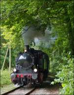 Die KDL 7  Energie 507  dampft mit ihrem Museumszug am 23.09.2012 durch den Wald auf der Strecke des  Train 1900  zwischen Ptange und Fond de Gras und wird in Krze die Kreuzugnsstelle Fuussbsch