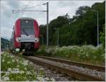 serie-2200-coradia-duplex/202421/die-stichstrecke-ettelbrueck---diekirch-fuehrt Die Stichstrecke Ettelbr�ck - Diekirch f�hrt gr��tenteils durch eine schmucklose Industriezone, am 12.06.2012 jedoch fuhr die Computermaus 2223 in Mitten wundersch�ner Blumenbeete hindurch in Richtung Diekirch. (Jeanny)