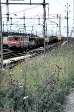 rc-1-bis-7-alle-br/834502/sj-rc-4-nr1166-mit-gueterzug SJ Rc 4 Nr.1166 mit Güterzug fährt in Hallsberg ein am 10.08.1985.