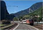 Die SBB Re 4/4 II 11255 erreicht mit ihrem Gotthard IR nach Locarno den Bahnhof von Faido.
6. Sept. 2016