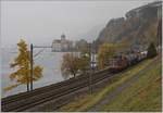 Nebel, an der Riviera eher selten, zeigt, dass es Herbst geworden ist, als die SBB Re 420 248-7 mit ihrem farblosen Schweizer Wappen beim Château de Chillon mit einem Güterzug dem Wallis zu strebt. 
6. Nov. 2018