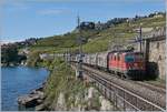 re-4-4-ii-re-420/674928/die-sbb-re-420-252-9-mit Die SBB Re 420 252-9 mit einem Güterzug auf der Fahrt Richtung Vevey kurz nach Rivaz. 

30. Sept. 2019