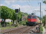 re-4-4-ii-re-420/818232/die-sbb-re-44-ii-11294 Die SBB Re 4/4 II 11294 (Re 420 294-1) 'Zirkus Knie' ist mit einem Güterzug bei Ligerz in Richtung Neuchâtel unterwegs. 

5. Juni 2023