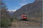 Pnktlich wie die Eisenbahn kommt die SBB Re 484 019 mit ihrer RoLa nach Novara kurz nach Premosello-Chiovenda bei meiner Fotostelle vorbei.