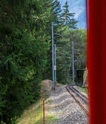 Blick aus unserem MGB-Zug am 07 September 2021 kurz (ca. 800 m) hinter Fürgangen-Bellwald beginnt  wieder der Zahnstangeabschnitt (System Abt) hinab nach Fiesch.