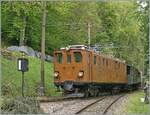 b-c-blonay-chamby/758470/nostalgie--vapeur-2021--nostalgie Nostalgie & Vapeur 2021' / 'Nostalgie & Dampf 2021' - so das Thema des diesjährigen Pfingstfestivals der Blonay-Chamby Bahn. Die Bernina Bahn RhB Ge 4/4 81 der Blonay-Chamby Bahn schiebt ihren Zug nach Blonay in Chaulin hinter die Weiche um dann nach Blonay zu fahren. 

24. Mai 2021