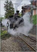Zugverfolgung - ein bekannter Begriff in der Eisenbahnfotografie, wobei meist mit dme Auto den Motiv nachgehetzt wird.