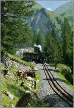 Auf Wunsch des Webmasters hier noch eine Aufnahme in Hochformat mit dem Dampfzug 131 der auf dem Weg nach Oberwald ist.
(05.08.2013)