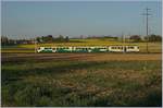 bam-bierea8211applesa8211morges/550614/ein-nun-typischer-bam-regionalzug-bei Ein nun typischer BAM Regionalzug bei Chigny: Be 4/4 B Be 4/4. 
10. April 2017